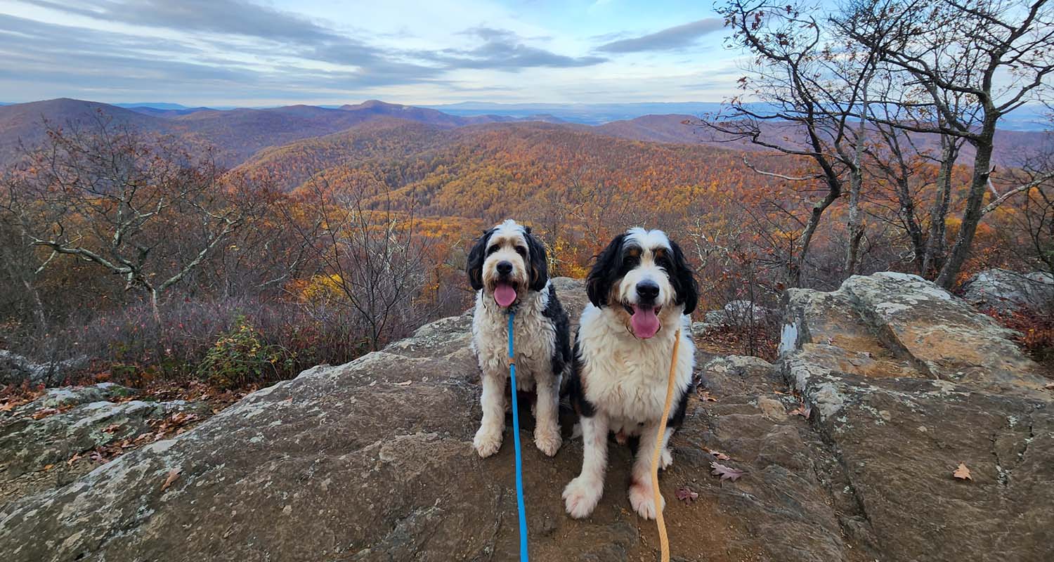 biggie-luna-mountain-view-2