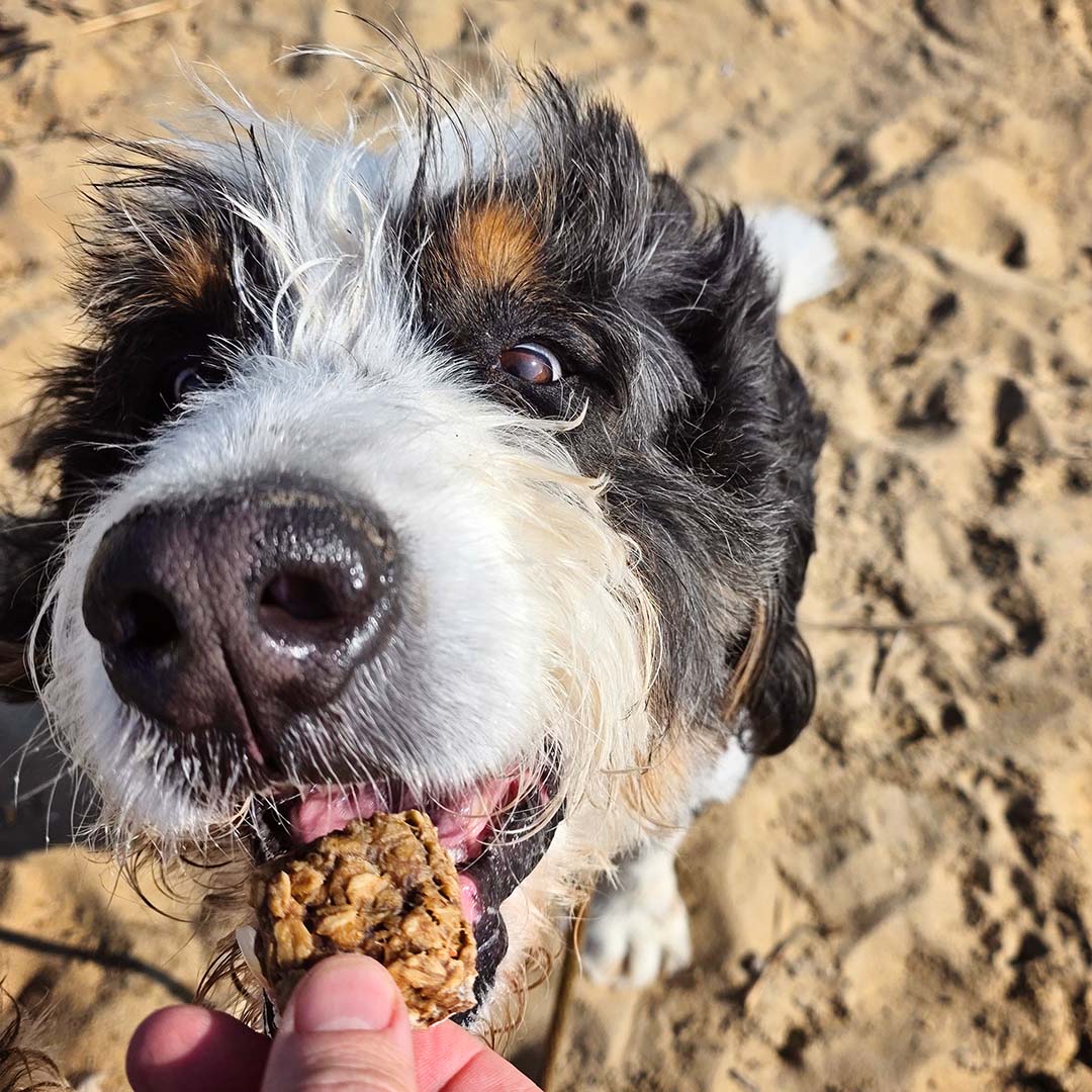 biggies-treat-beach
